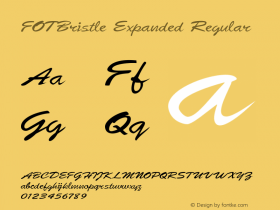 FOTBristle-ExpandedRegular Version 1.500图片样张