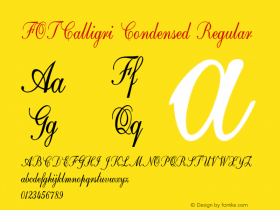 FOTCalligri-CondensedRegular Version 1.500 Font Sample