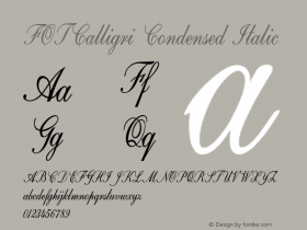 FOTCalligri-CondensedItalic Version 1.500 Font Sample