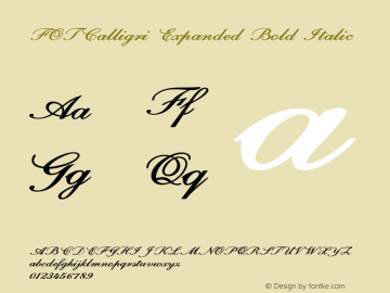 FOTCalligri-ExpandedBoldItalic Version 1.500图片样张