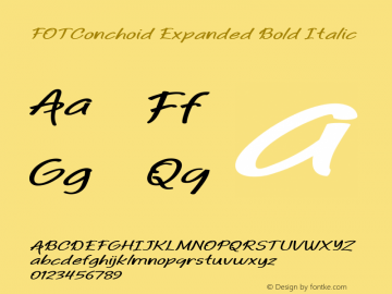 FOTConchoid-ExpandedBoldItalic Version 1.000 Font Sample