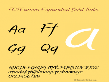 FOTEamon-ExpandedBoldItalic Version 1.500图片样张