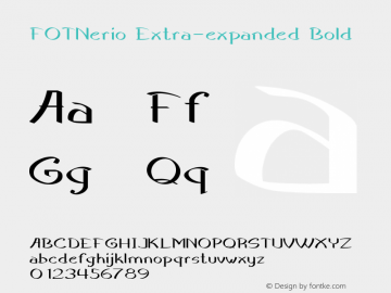 FOTNerio-ExtraexpandedBold Version 1.000图片样张