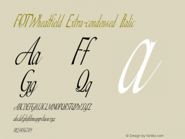 FOTWheatfield-ExtracondensedItalic Version 1.000图片样张