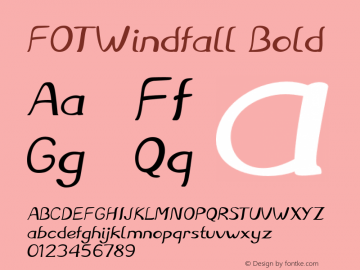 FOTWindfall-Bold Version 1.000图片样张