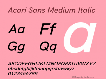 Acari Sans Medium Italic Version 1.045;PS 001.045;hotconv 1.0.88;makeotf.lib2.5.64775; ttfautohint (v1.6) Font Sample