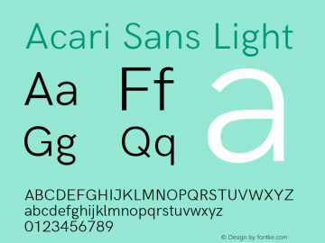 Acari Sans Light Version 1.045;PS 001.045;hotconv 1.0.88;makeotf.lib2.5.64775; ttfautohint (v1.6) Font Sample