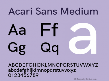 Acari Sans Medium Version 1.045;PS 001.045;hotconv 1.0.88;makeotf.lib2.5.64775; ttfautohint (v1.6) Font Sample