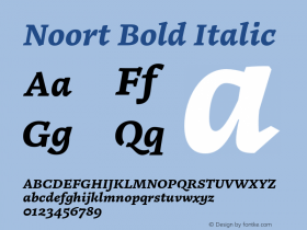 Noort Bold Italic Version 1.001;PS 1.0;hotconv 16.6.51;makeotf.lib2.5.65220图片样张