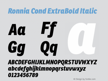 Ronnia Cond Eb Italic Version 1.001图片样张