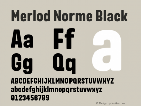 MerlodNorme-Black Version 1.10 Build 0817 Font Sample