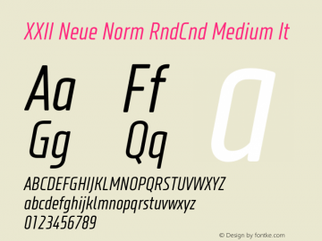 XXII Neue Norm RndCnd Medium It Version 1.002;PS 001.002;hotconv 1.0.70;makeotf.lib2.5.58329 Font Sample