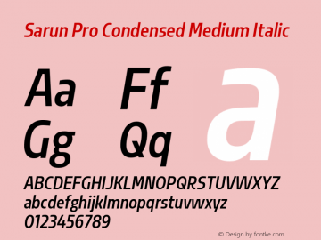 Sarun Pro Condensed Med Ita Version 1.70 Build 0318 Font Sample