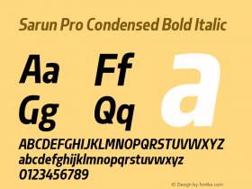 Sarun Pro Condensed Bold Italic Version 1.70 Build 0318图片样张