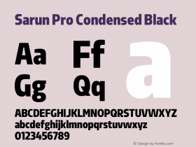 Sarun Pro Condensed Black Version 1.70 Build 0318图片样张