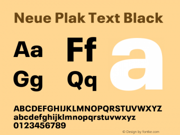 Neue Plak Text Black Version 1.00, build 10, s3图片样张