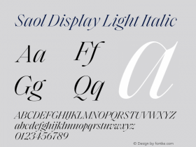 SaolDisplay-LightItalic Version 1.0 | wf-rip by RD图片样张