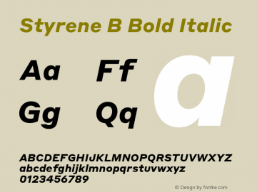 Styrene B Bold Italic Version 1.1 2016 | wf-rip DC20161105图片样张