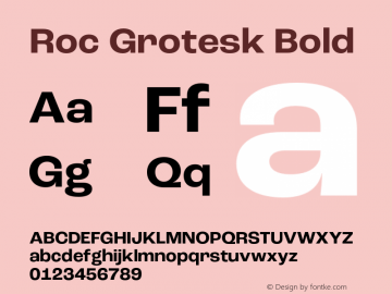 Roc Grotesk Bold Version 1.000;PS 001.000;hotconv 1.0.88;makeotf.lib2.5.64775 Font Sample