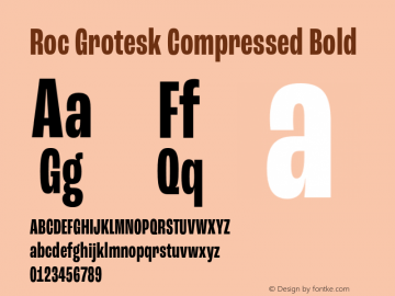 Roc Grotesk Compressed Bold Version 1.000;PS 001.000;hotconv 1.0.88;makeotf.lib2.5.64775 Font Sample