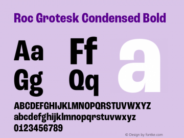 Roc Grotesk Condensed Bold Version 1.000;PS 001.000;hotconv 1.0.88;makeotf.lib2.5.64775 Font Sample