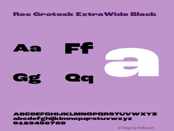 Roc Grotesk ExtraWide Black Version 1.000;PS 001.000;hotconv 1.0.88;makeotf.lib2.5.64775 Font Sample