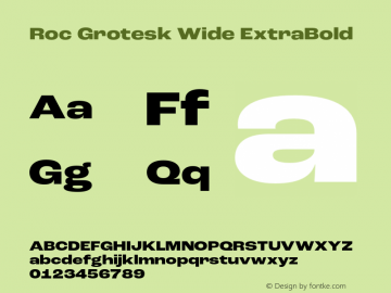Roc Grotesk Wide ExtraBold Version 1.000;PS 001.000;hotconv 1.0.88;makeotf.lib2.5.64775 Font Sample
