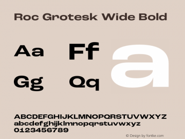 Roc Grotesk Wide Bold Version 1.000;PS 001.000;hotconv 1.0.88;makeotf.lib2.5.64775 Font Sample