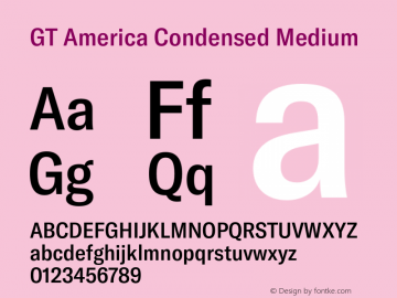 GTAmerica-CondensedMedium Version 1.003;PS 001.003;hotconv 1.0.88;makeotf.lib2.5.64775图片样张