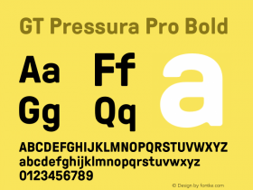 GTPressuraPro-Bold Version 1.000;PS 001.000;hotconv 1.0.88;makeotf.lib2.5.64775图片样张