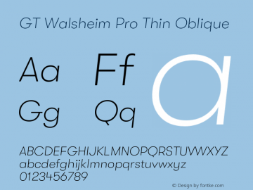 GTWalsheimPro-ThinOblique Version 2.001;PS 002.001;hotconv 1.0.88;makeotf.lib2.5.64775 Font Sample