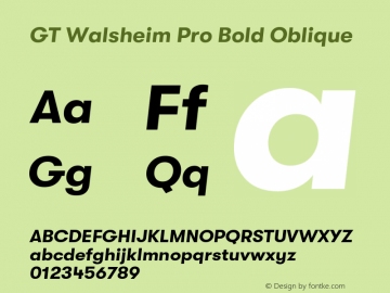 GTWalsheimPro-BoldOblique Version 2.001;PS 002.001;hotconv 1.0.88;makeotf.lib2.5.64775 Font Sample