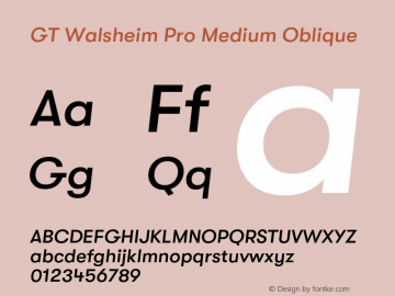 GTWalsheimPro-MediumOblique Version 2.001;PS 002.001;hotconv 1.0.88;makeotf.lib2.5.64775 Font Sample