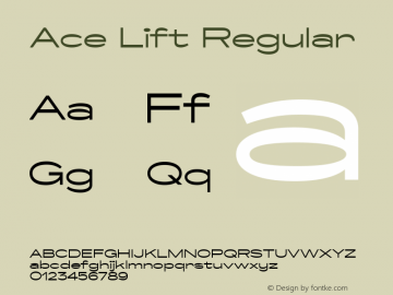 Ace Lift Regular 1.000图片样张