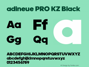 adineue PRO KZ Black Version 1.002;PS 1.0;hotconv 1.0.79;makeotf.lib2.5.61930 Font Sample