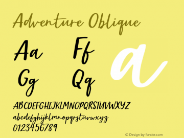 Adventure Oblique Version 1.000;PS 001.000;hotconv 1.0.88;makeotf.lib2.5.64775 Font Sample