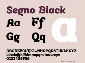Segno-Black Version 2.000图片样张