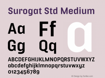 Surogat Std Med Version 5.0; 2014图片样张