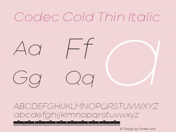 Codec Cold Thin Italic Version 1.000图片样张