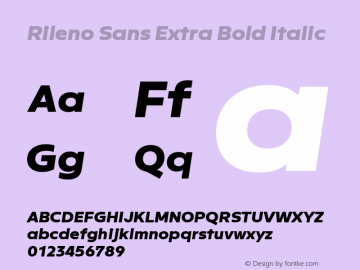 Rileno Sans Extra Bold Italic Version 1.000;PS 001.000;hotconv 1.0.88;makeotf.lib2.5.64775图片样张