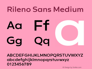 Rileno Sans Medium Version 1.000;PS 001.000;hotconv 1.0.88;makeotf.lib2.5.64775 Font Sample