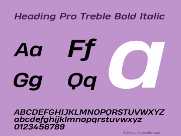 Heading Pro Treble Bold Italic Version 1.001;PS 001.001;hotconv 1.0.70;makeotf.lib2.5.58329 Font Sample