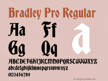 BradleyPro-Regular Version 1.0 | wf-rip DC20131010图片样张