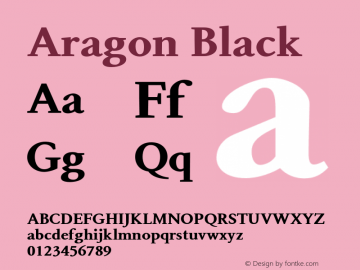 Aragon-Black Version 1.0 | wf-rip DC20101030图片样张