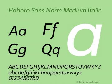 Haboro Sans Norm Medium Italic Version 1.000图片样张