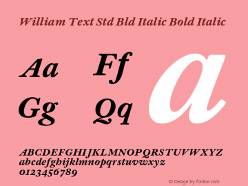 William Text Std Bld Italic Version 1.0; 2016 Font Sample