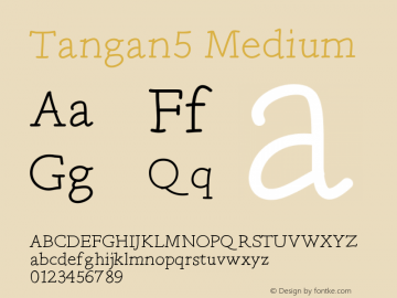 Tangan5 Medium Version 001.000 Font Sample