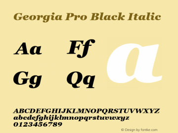 Georgia Pro Black Italic Version 6.03图片样张