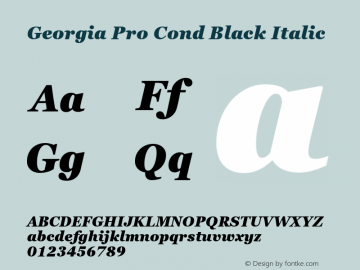 Georgia Pro Cond Black Italic Version 6.04图片样张