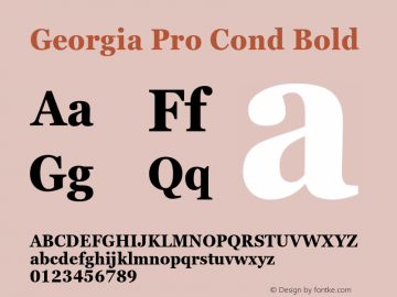 Georgia Pro Cond Bold Version 6.12图片样张